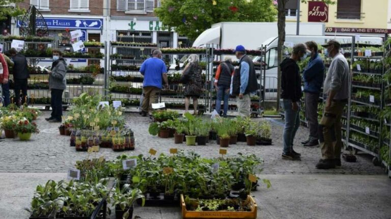 Lire la suite à propos de l’article Marché aux fleurs