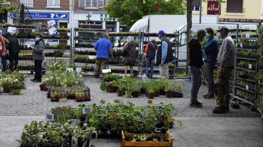 You are currently viewing Marché aux fleurs